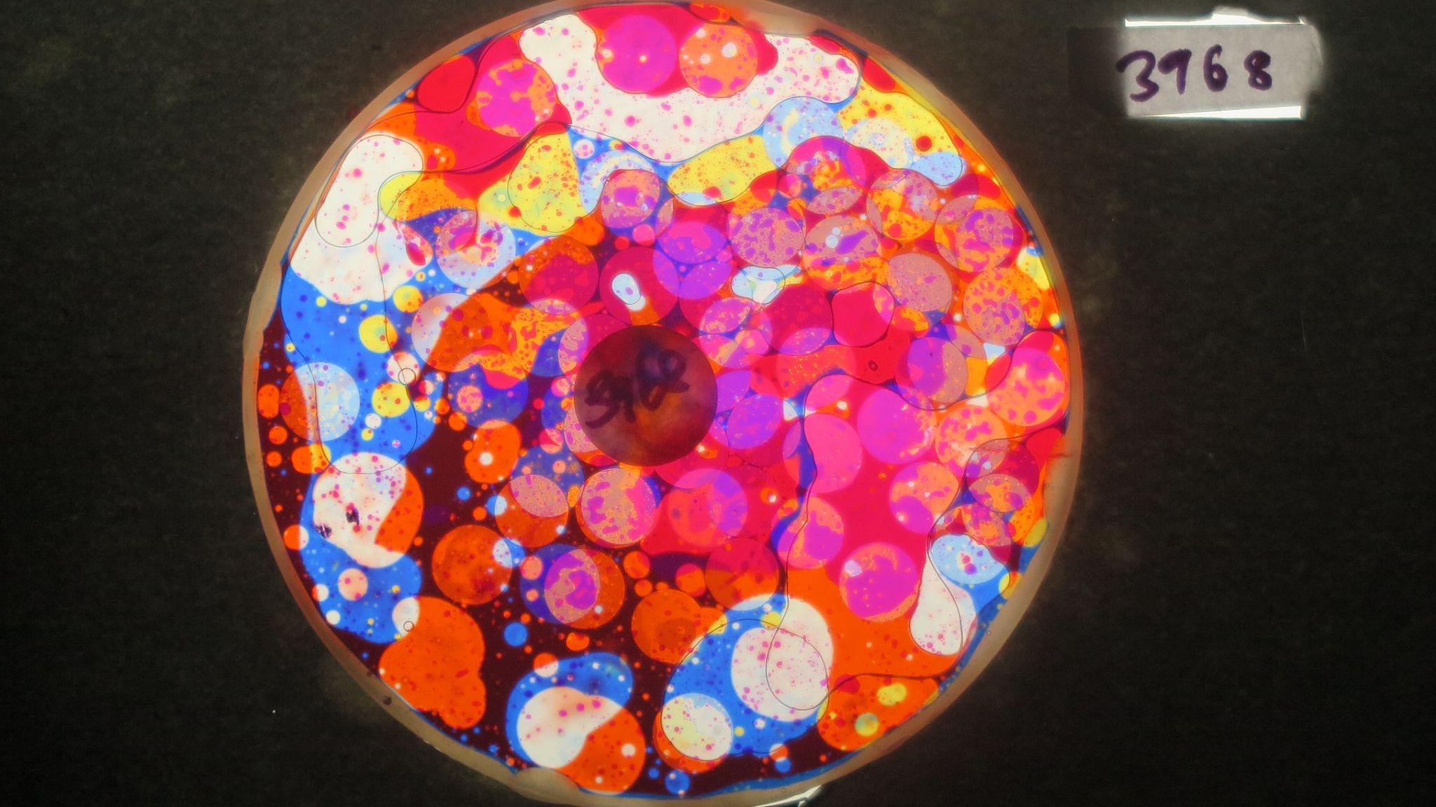 BV3968 bubble vision oil wheel